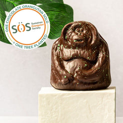 Tuandua the Dark Chocolate Orangutan to support SOS (vf) – view 2